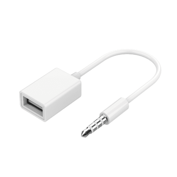 Cabo AUX OTG 3,5 MM